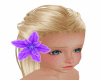 Purple Hair Orchid