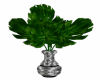 Plant-Vase 2