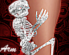 Ankle Skeleton *