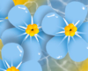 P~ Forget Me Not