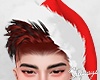 S. Xmas Hat Aurburn