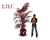 SG/Red Hot Plant