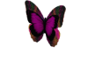 Butterfly Decor Pink