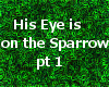 Eye on Sparrow pt 1