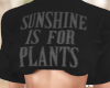 Sunshine is 4 Plants