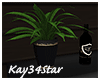 Luxury Black Pose Bar
