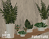 |< Plants Shelf