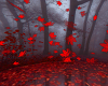 RED FOREST