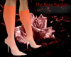 Entice Orange Stilettos