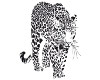 wall decal leopard 2