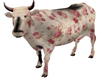 Norfolk rose cow