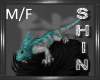 Male Iguana - Teal M/F