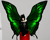 Butterfly Wings Green 