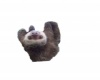 {LS} Sloth CutOut