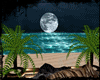 [DK] Moonlight Tropical 
