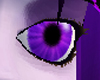 Soft Purple Eyes