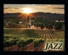 Jazzie-Vineyard Surround