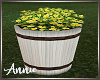 Yellow Flowers Barrel V2