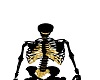 skeleton of black &gold