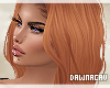 [DJ]Ellison Ginger Spice