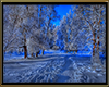 Winter Scene 001