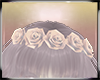 Sunset Head Flowers V.2