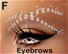 starry pearls eyebrows F