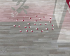 Valentine Rose Petals