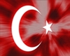 DnZ Turkish flag armband