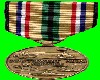 SWA Service Medal