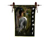 DL}Nokomis Banner