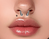 Nose Septum + Mole Drv