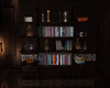 Mysterious Shelf  *LD*