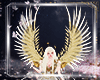 !A| Angel Wings