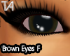 Brown Eyes F