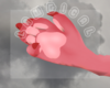 *L* Pand F Paws