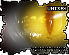 . lepre | eyes