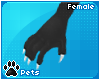 [Pets] Zentha | claws