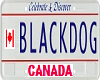 BlackDog Radio License