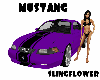 Mustang (purple)