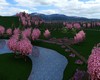 Springtime Park