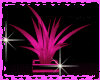 Plant Palm Pink