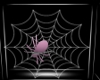Spider & Web Mesh 
