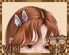 KIDS Bears Clips
