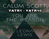 You Are The Reason