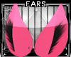 Burlesque * Ears V2