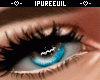 Queen Blue F / M