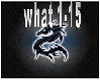 What -Lissa Rowe Dubstep