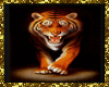 QT~Furious Tiger Frame