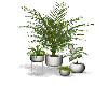 Plant Set